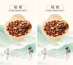 中药材桂枝海报素材