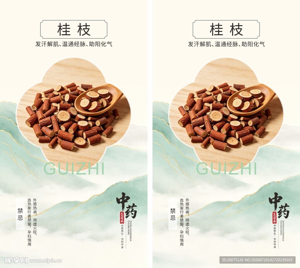中药材桂枝海报素材