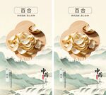 百合中药材海报