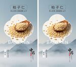 精选柏子仁海报
