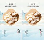 半夏药材展示图