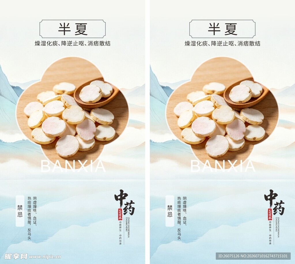 半夏药材展示图
