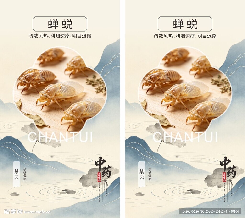 中药材蝉蜕海报