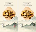 中药材大黄海报