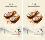 龙骨药材展示图