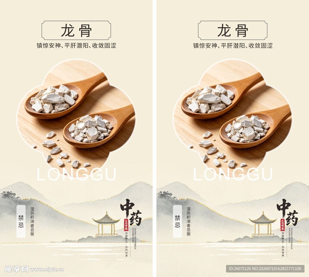 龙骨药材展示图