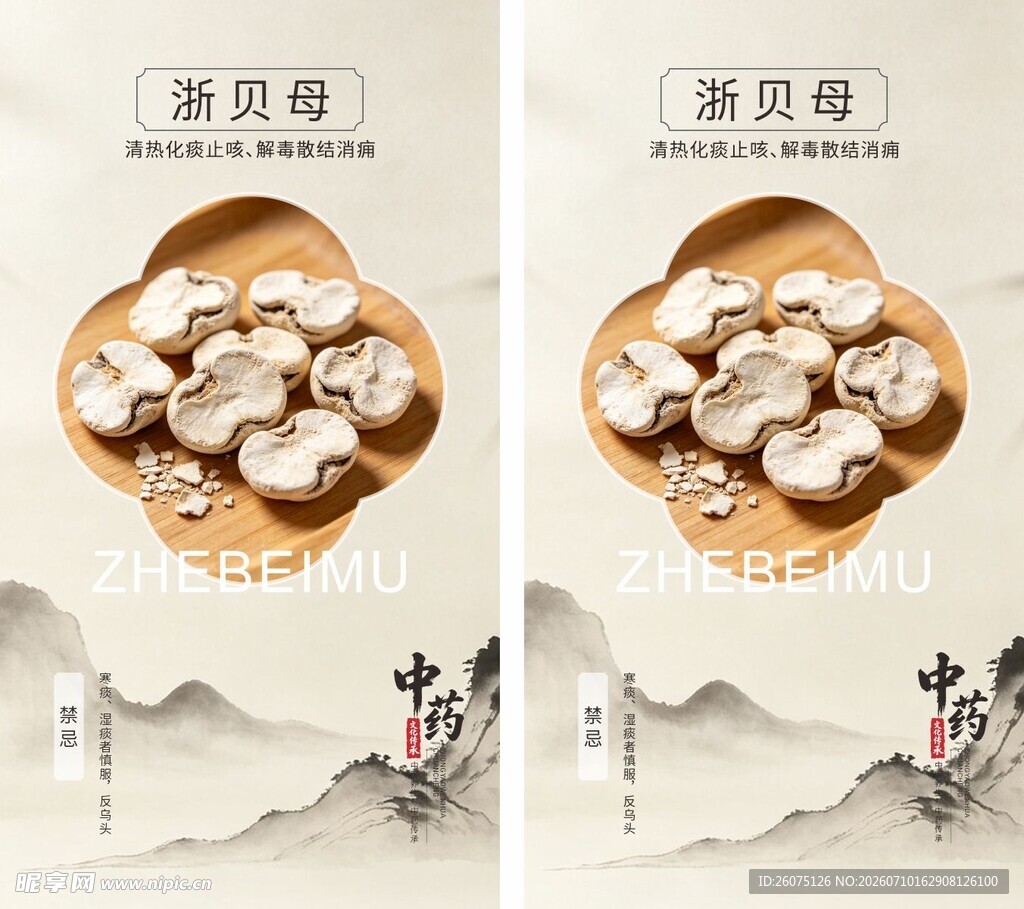 清新风中药材浙贝母海报