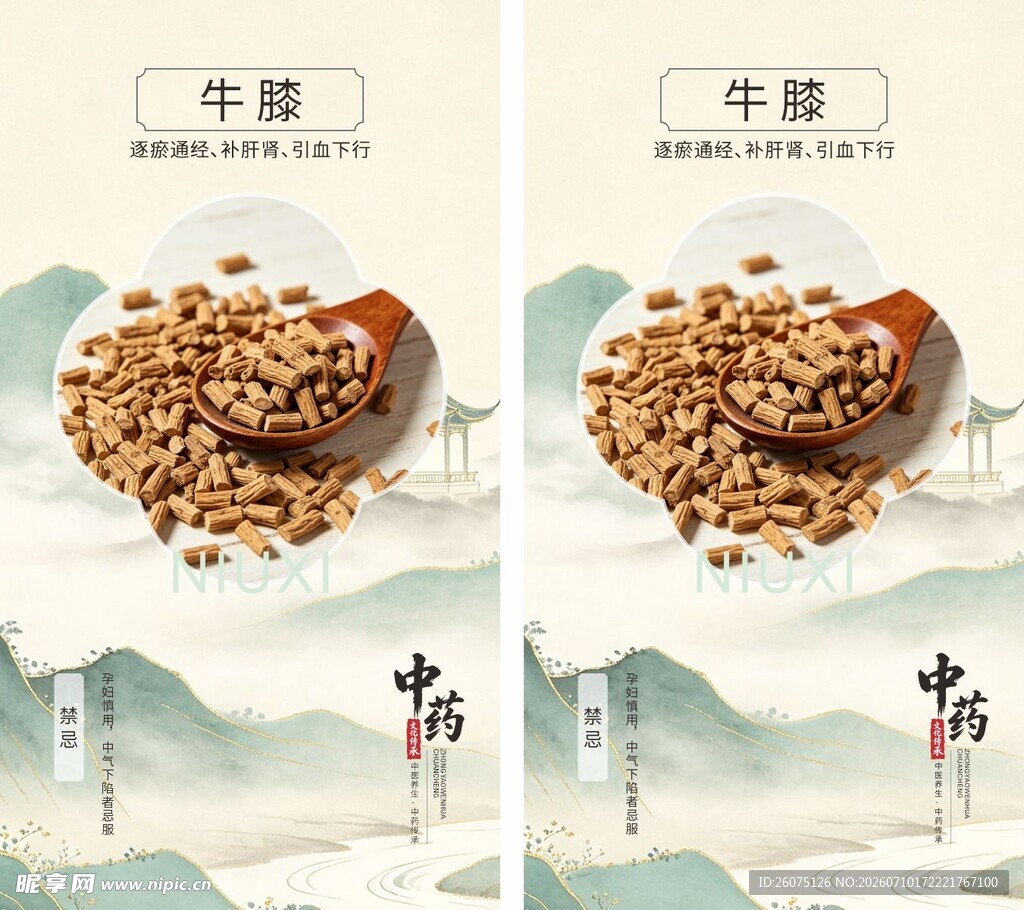 中式风格中药材牛膝海报