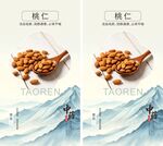 桃仁中药海报