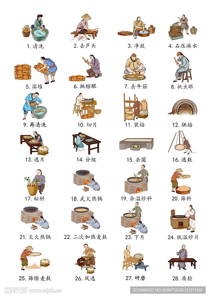 山药加工28道工序