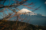 远眺富士山美景