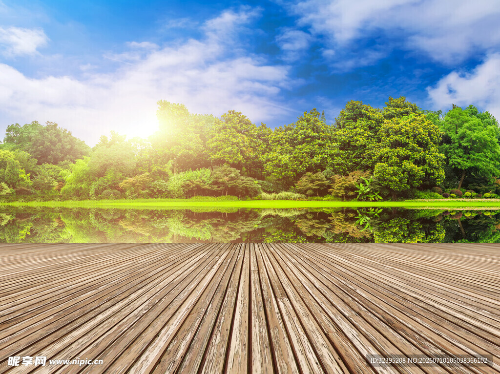 湖畔木栈道阳光绿意美景