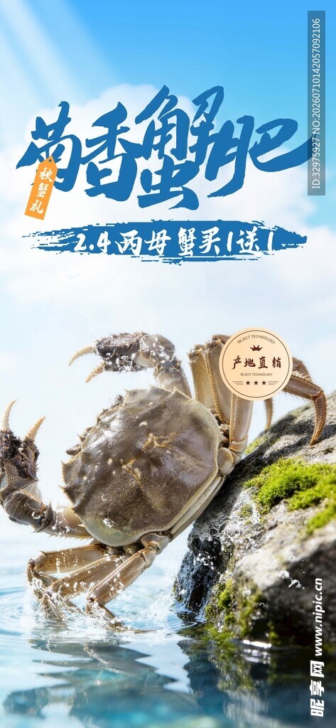 大闸蟹美食菊香蟹肥美食促销营销