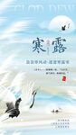 寒露时节飞鸟图