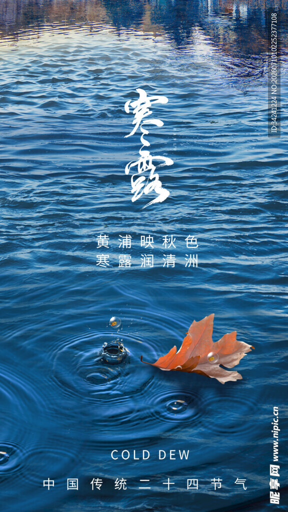 寒露节气唯美插画意境图