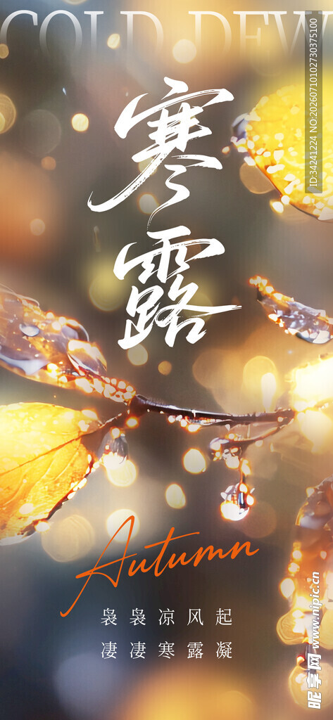 寒露时节美景