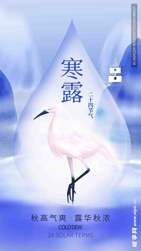 寒露时节的优雅火烈鸟