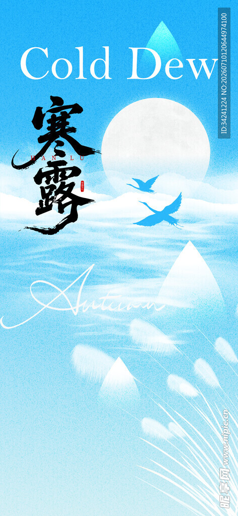 冷露寒雾中的梦幻飞鸟