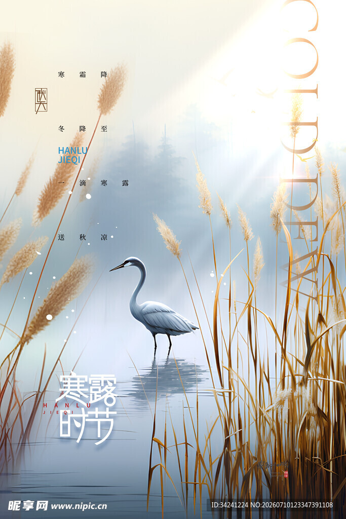 寒露节气唯美插画意境图