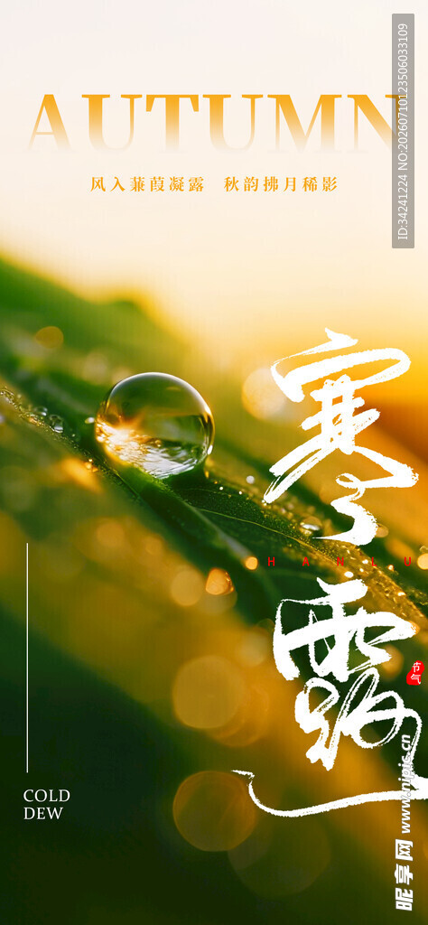 秋季寒露主题唯美画面