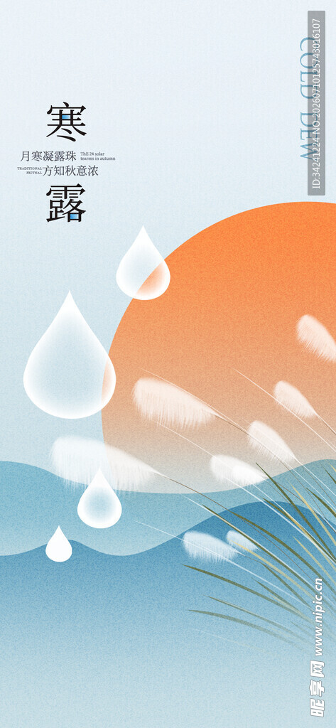 寒露时节水滴与芦苇图景