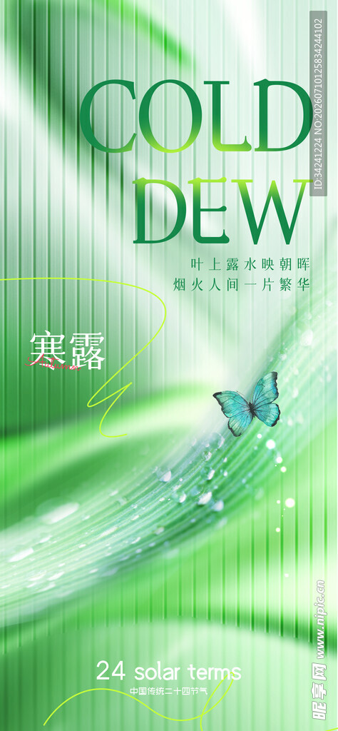 寒露节气清新蝴蝶插画