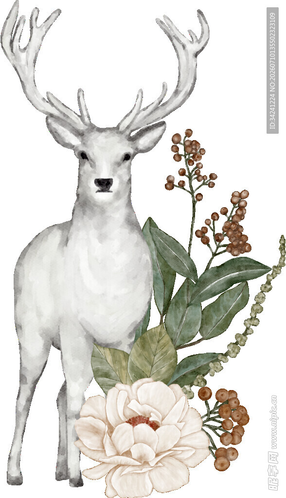白鹿伴花插画艺术作品