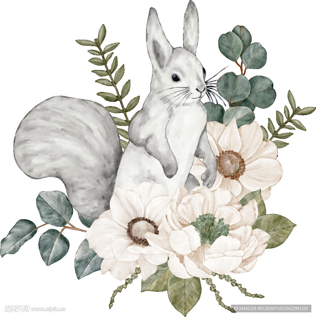 松鼠伴花的唯美插画