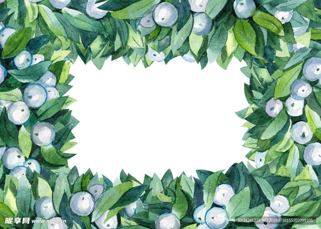 绿叶白花环绕的空白边框