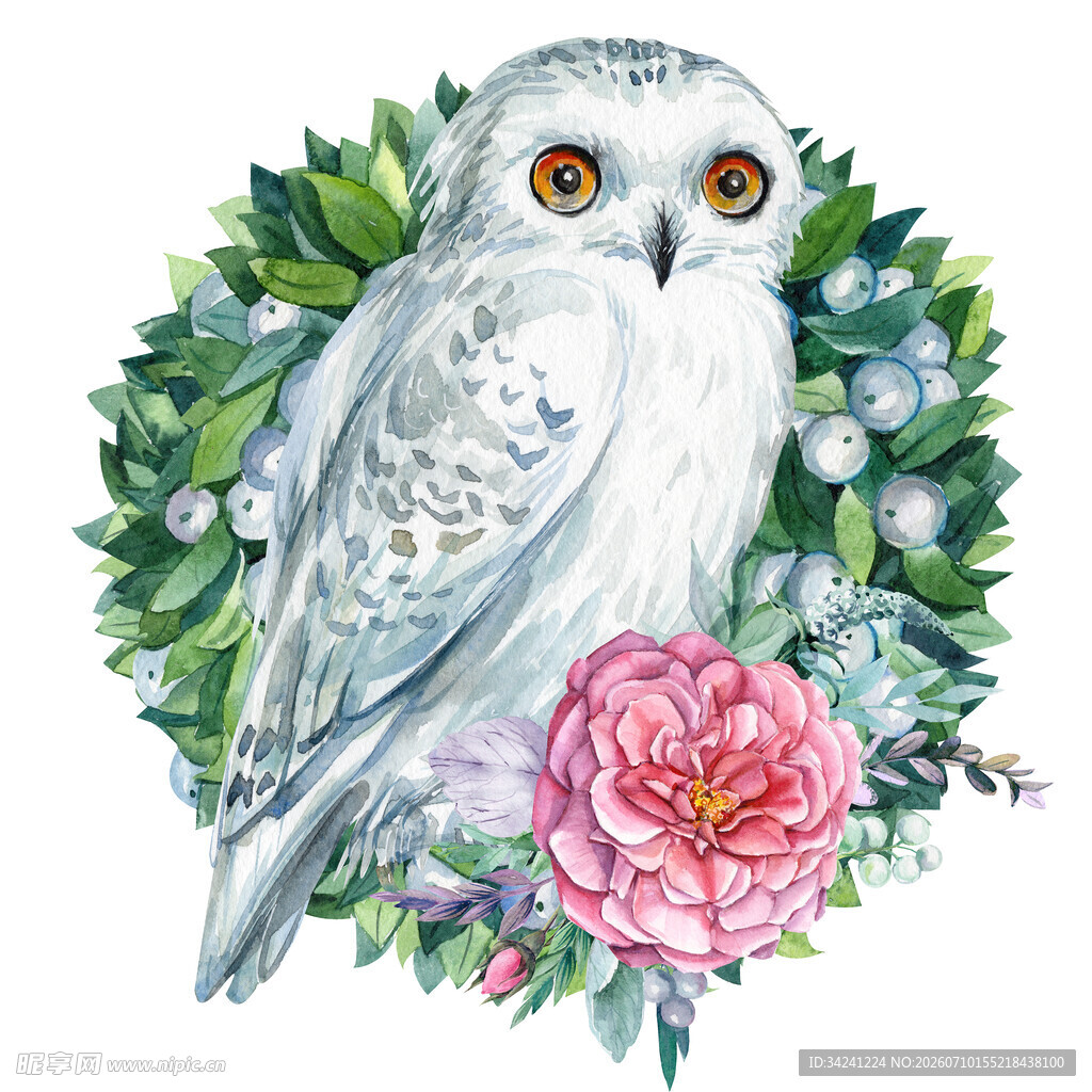 雪鸮与花卉的梦幻插画