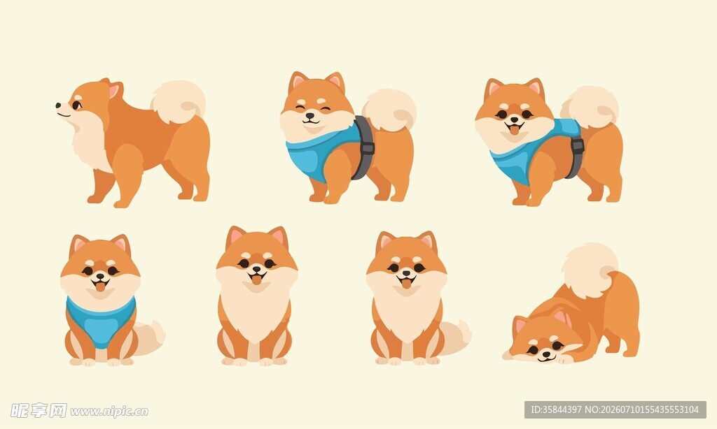 博美犬图集