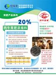 肉牛育肥浓缩料