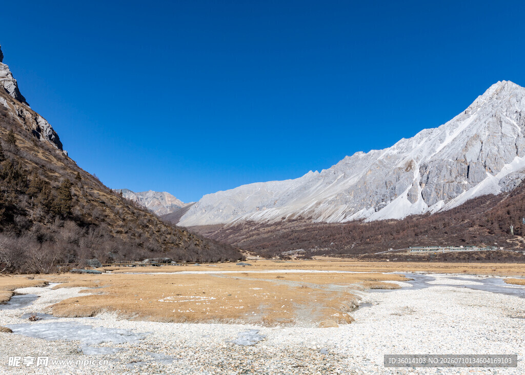 雪山下的开阔谷地美景