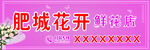 肥城花开鲜花店