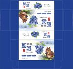 蓝莓包装