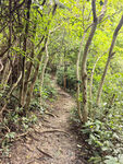山路