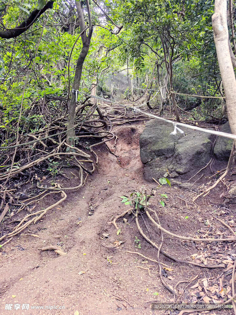 山路