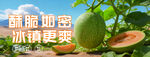 哈密瓜