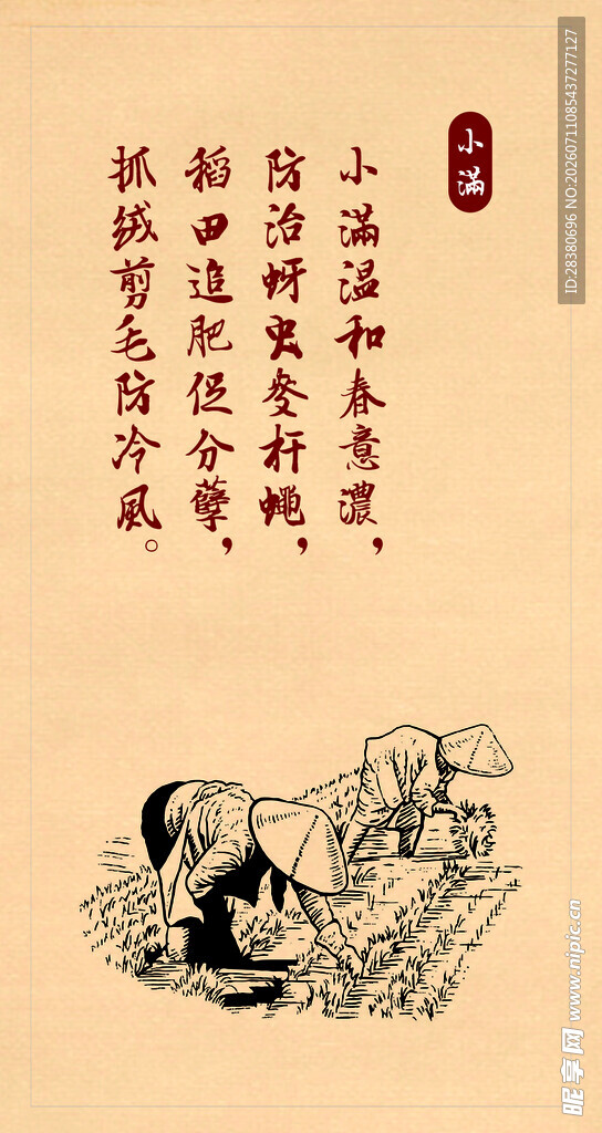 古人读书场景插画