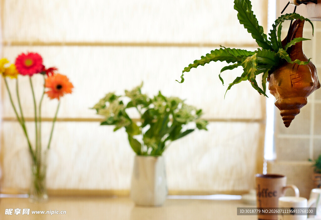 室内花瓶绿植花卉组合