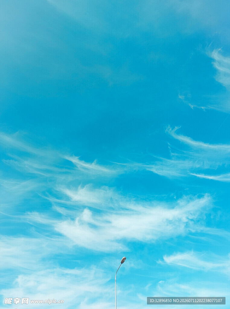 蓝天中飞翔的孤独小鸟