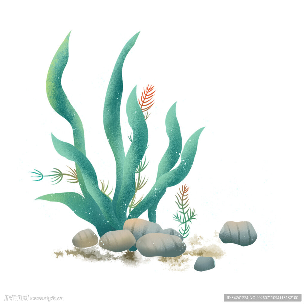 海底绿植与卵石景观