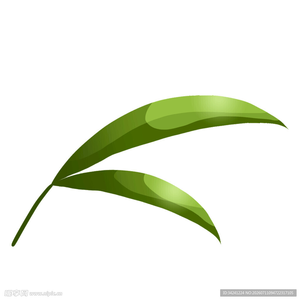 两片翠绿竹叶