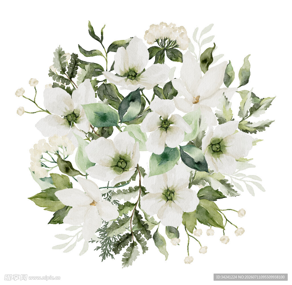 白色花卉水彩插画