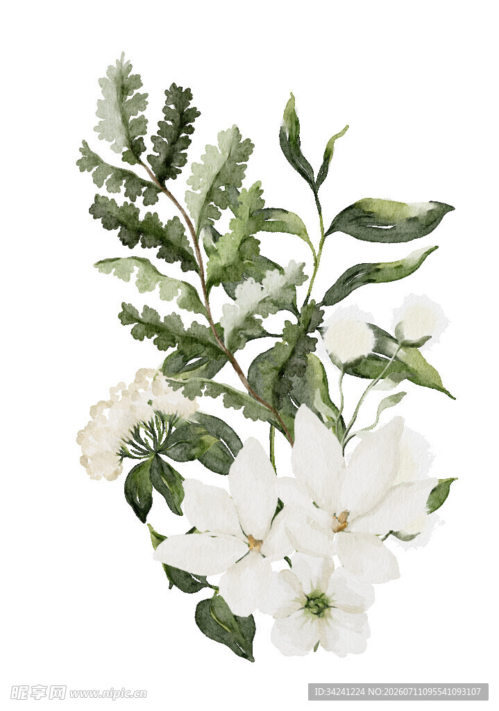 白色花卉绿植组合插画