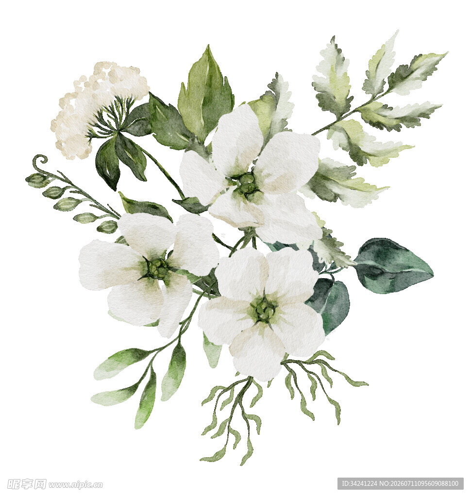 白色花卉绿植组合插画