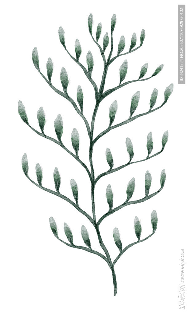 手绘简约枝叶植物图案