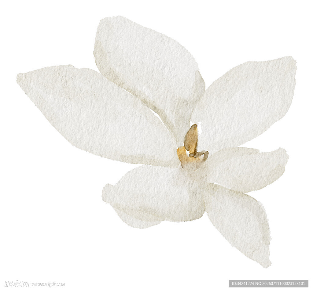 白色花朵饰品