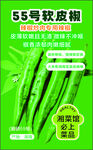 55号软皮椒蔬菜种子宣传