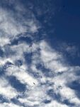 蔚蓝天空 云朵 云海
